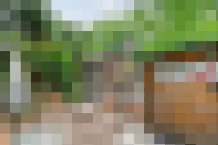 Hezenes 9 Diever thumbnail 32