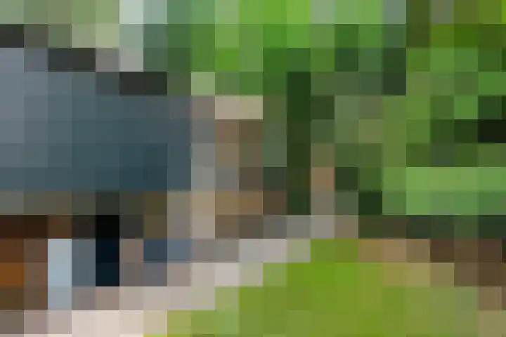 Hezenes 9 Diever thumbnail 34