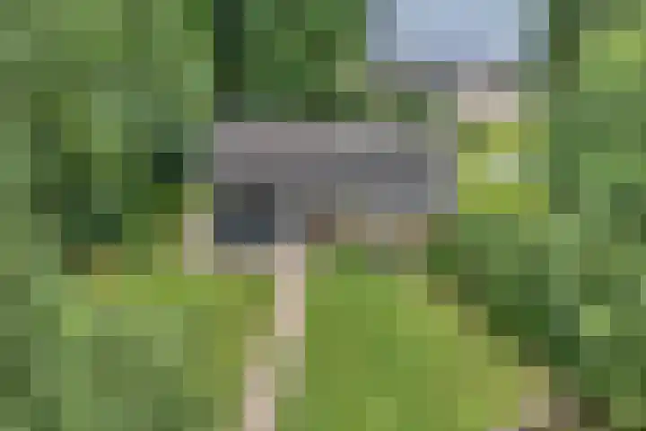 Hezenes 9 Diever thumbnail 36