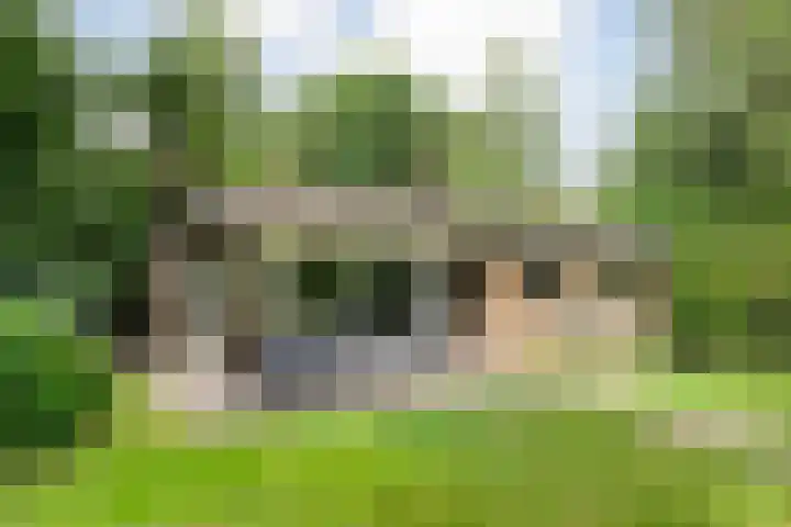 Hezenes 9 Diever thumbnail 42
