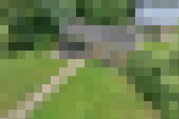 Hezenes 9 Diever thumbnail 6