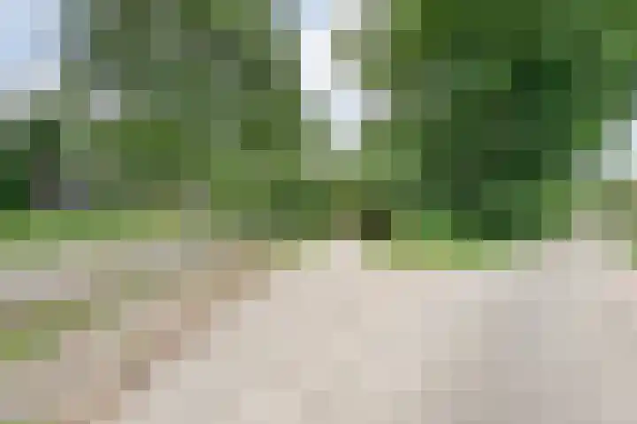 Hezenes 9 Diever thumbnail 7