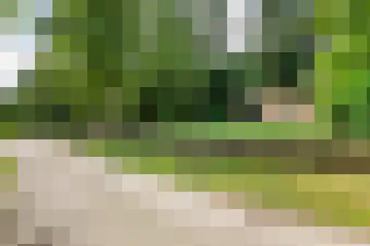 Hezenes 9 Diever thumbnail 8