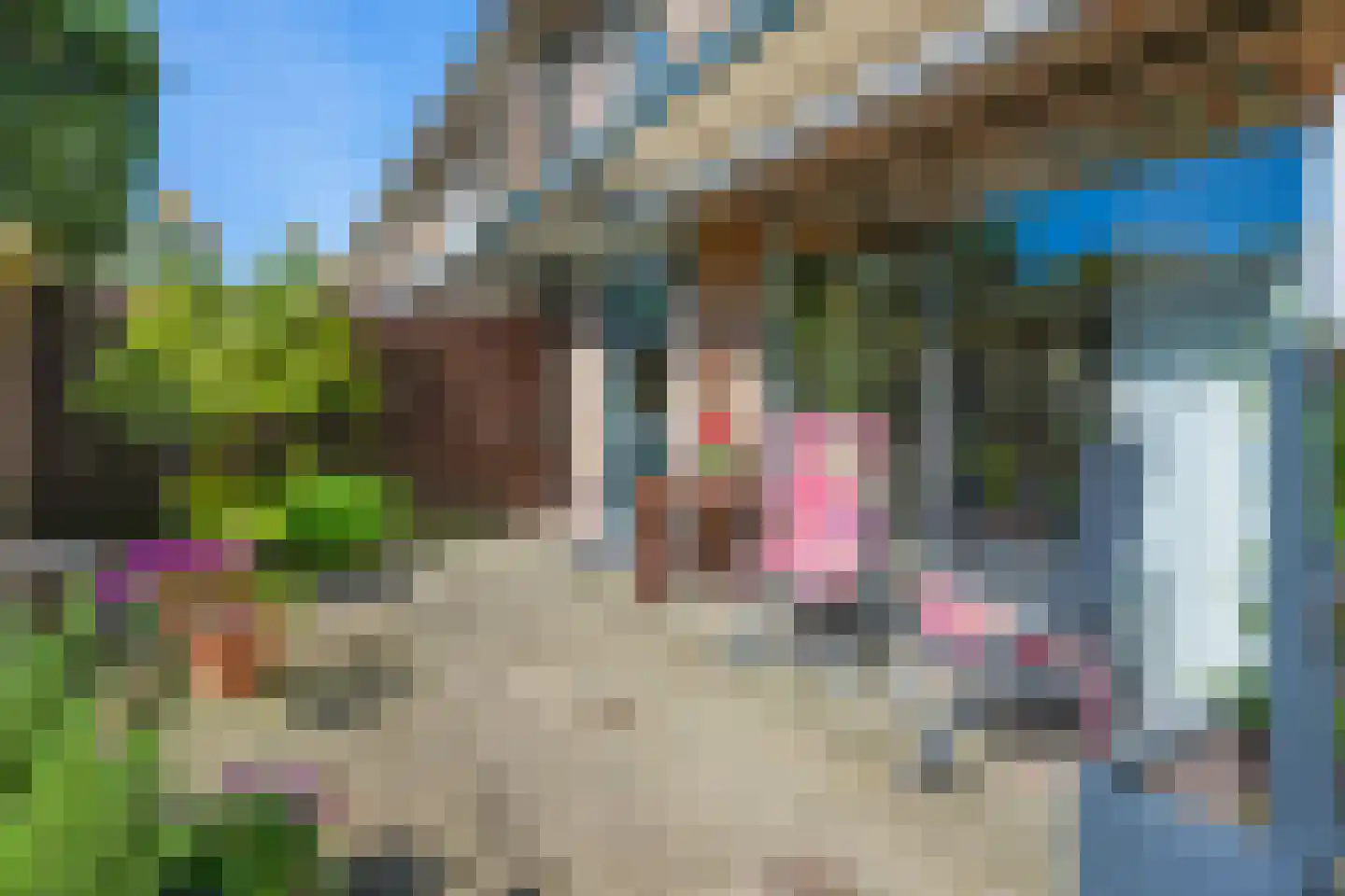 Hezer Enghweg 47 Den Dolder thumbnail 19