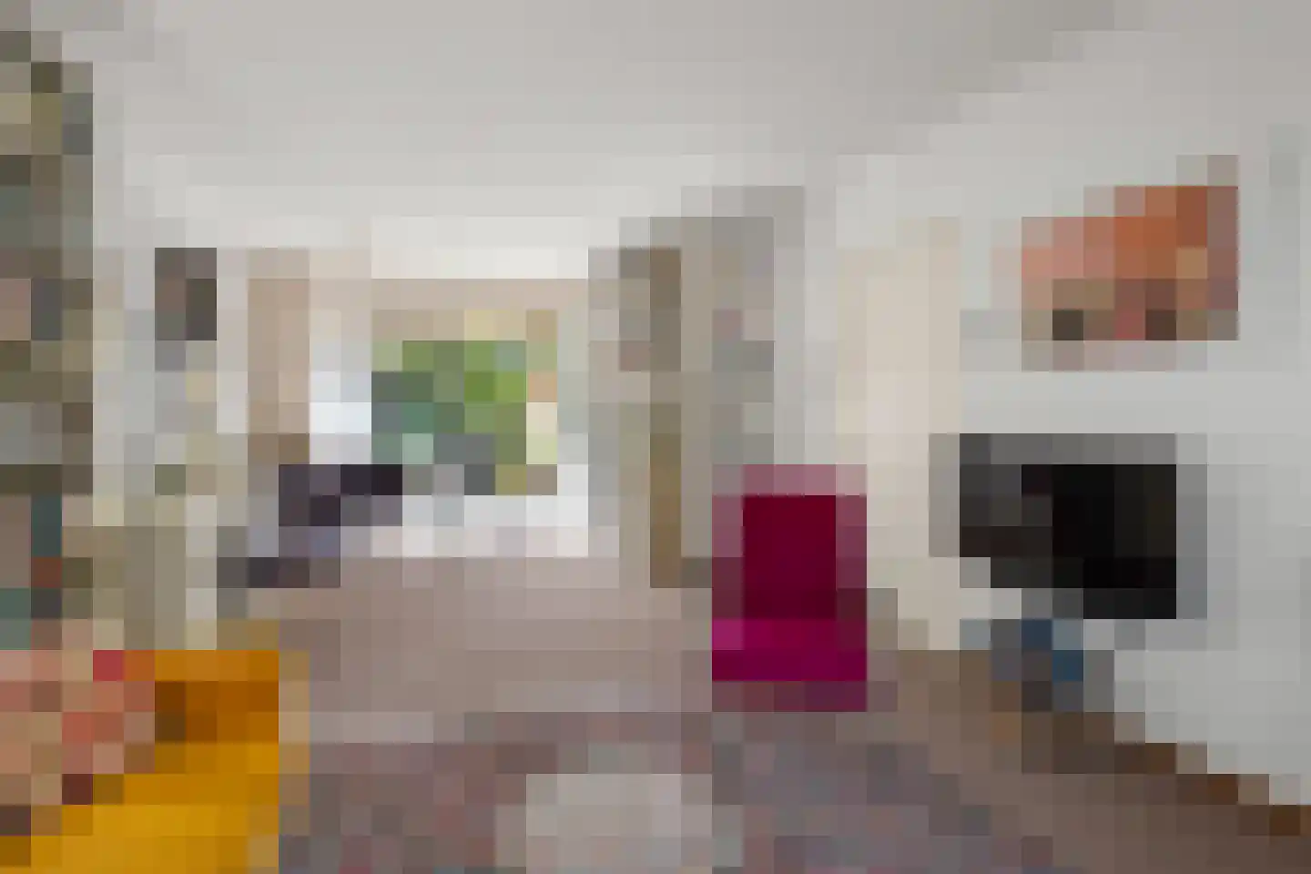 Hezer Enghweg 47 Den Dolder thumbnail 7