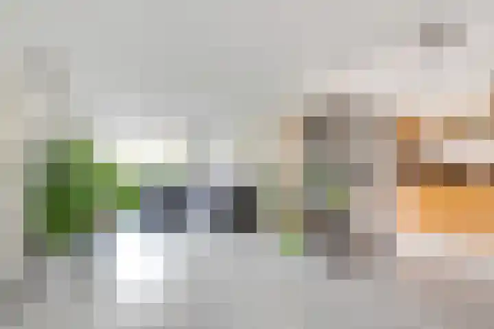 Hezer Enghweg 83 Den Dolder thumbnail 12