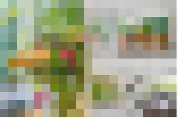 Hezer Enghweg 83 Den Dolder thumbnail 15