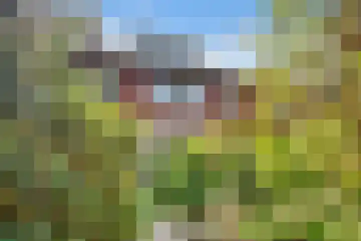 Hezer Enghweg 83 Den Dolder foto 2
