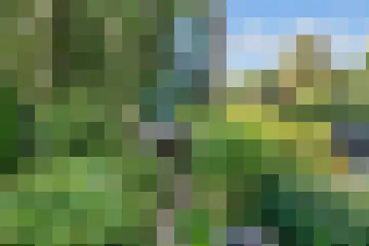 Hezer Enghweg 83 Den Dolder thumbnail 20
