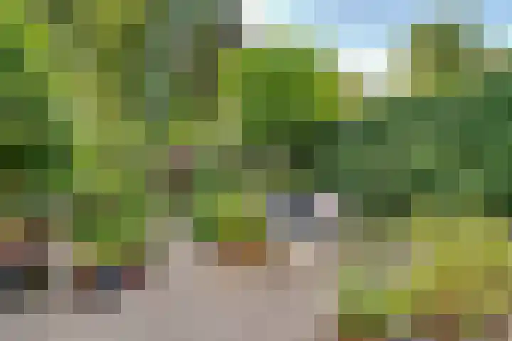Hezer Enghweg 83 Den Dolder thumbnail 32