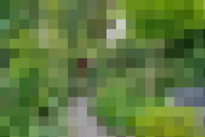 Hezer Enghweg 83 Den Dolder thumbnail 33