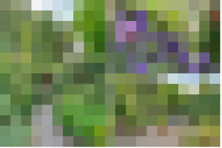Hezer Enghweg 83 Den Dolder thumbnail 34