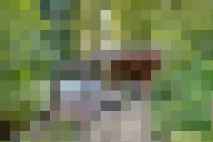 Hezer Enghweg 83 Den Dolder thumbnail 35
