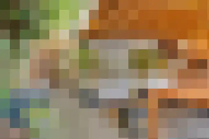 Hezer Enghweg 83 Den Dolder thumbnail 37