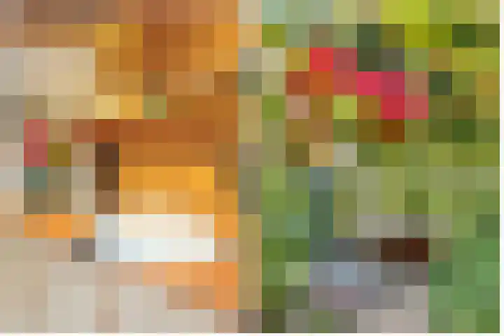 Hezer Enghweg 83 Den Dolder thumbnail 38