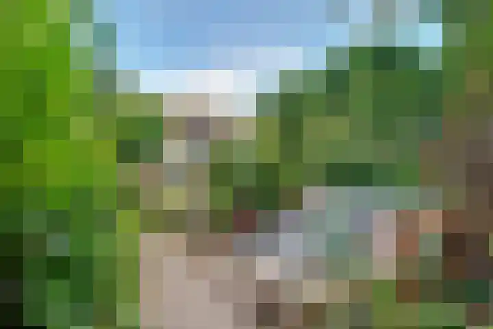 Hezer Enghweg 83 Den Dolder thumbnail 39