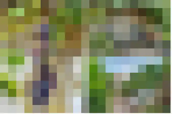 Hezer Enghweg 83 Den Dolder thumbnail 40