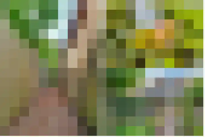 Hezer Enghweg 83 Den Dolder thumbnail 41