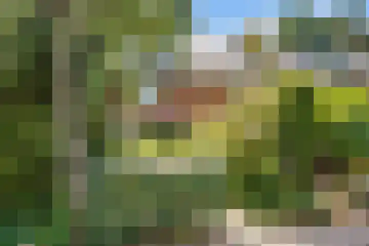 Hezer Enghweg 83 Den Dolder thumbnail 42