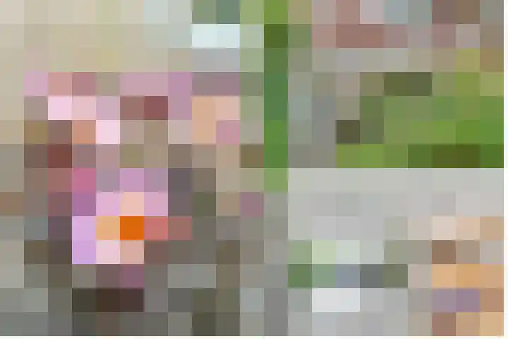 Hezer Enghweg 83 Den Dolder thumbnail 43