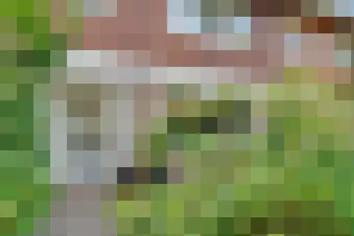 Hezer Enghweg 83 Den Dolder thumbnail 6