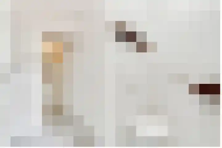Hezer Enghweg 83 Den Dolder thumbnail 7
