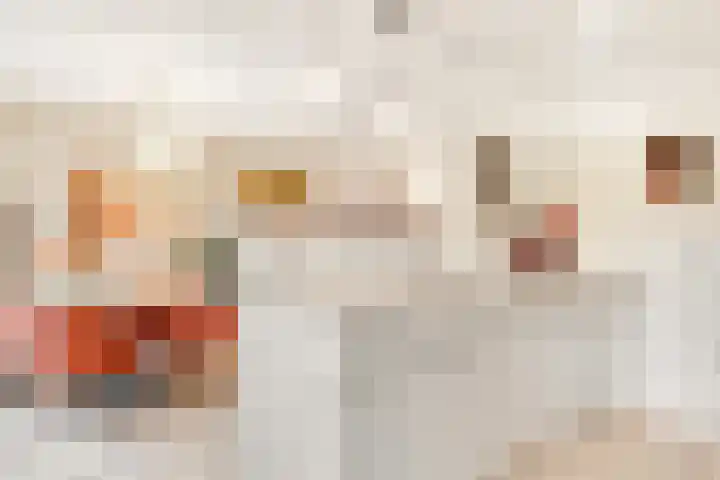 Hezer Enghweg 95 Den Dolder thumbnail 15