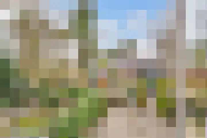 Hezer Enghweg 95 Den Dolder thumbnail 23