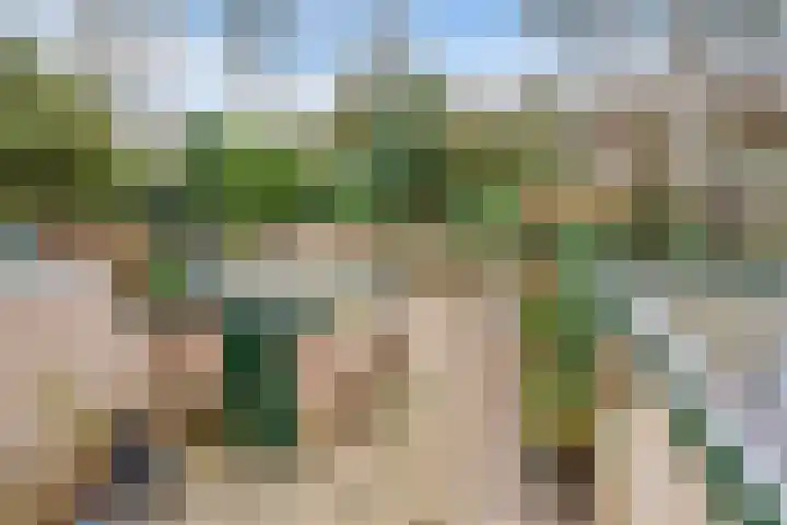 Hezer Enghweg 95 Den Dolder thumbnail 33