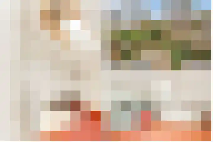 Hezer Enghweg 95 Den Dolder thumbnail 38