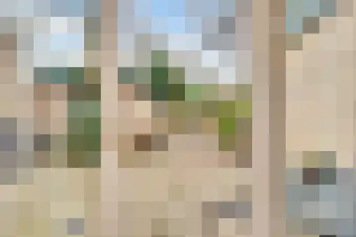 Hezer Enghweg 95 Den Dolder thumbnail 39