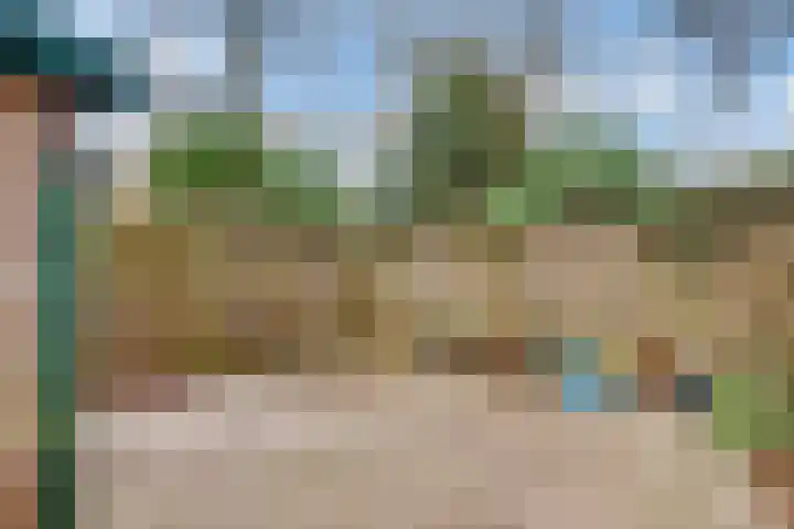 Hezer Enghweg 95 Den Dolder thumbnail 43