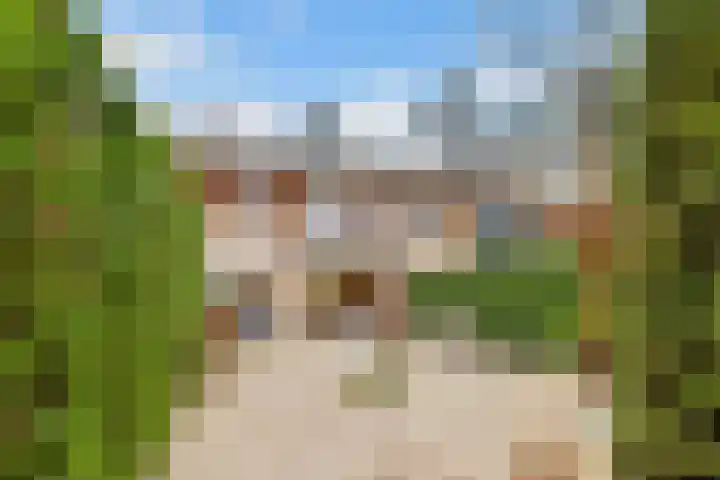 Hezer Enghweg 95 Den Dolder thumbnail 48