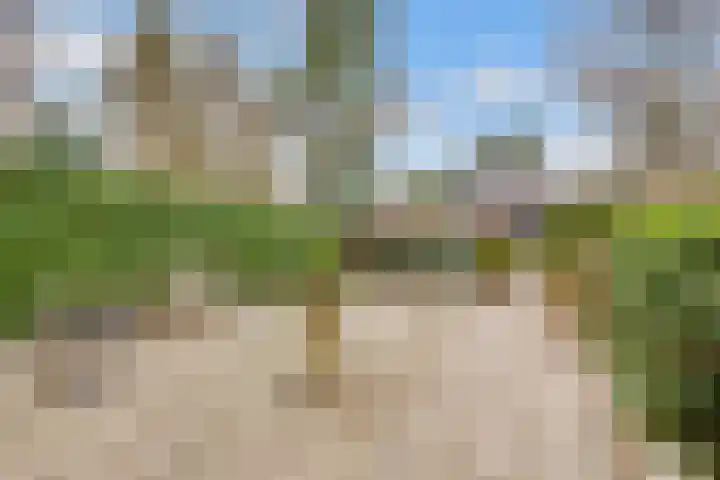 Hezer Enghweg 95 Den Dolder thumbnail 49