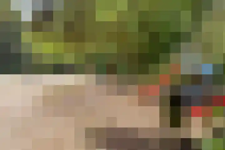 Hezer Enghweg 95 Den Dolder thumbnail 51