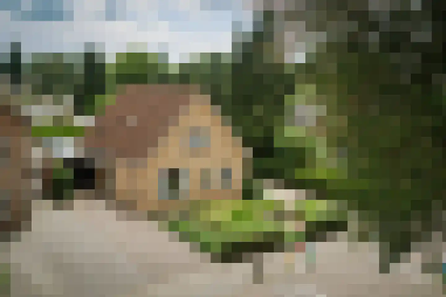 Hezeweg 15 Emst thumbnail 28