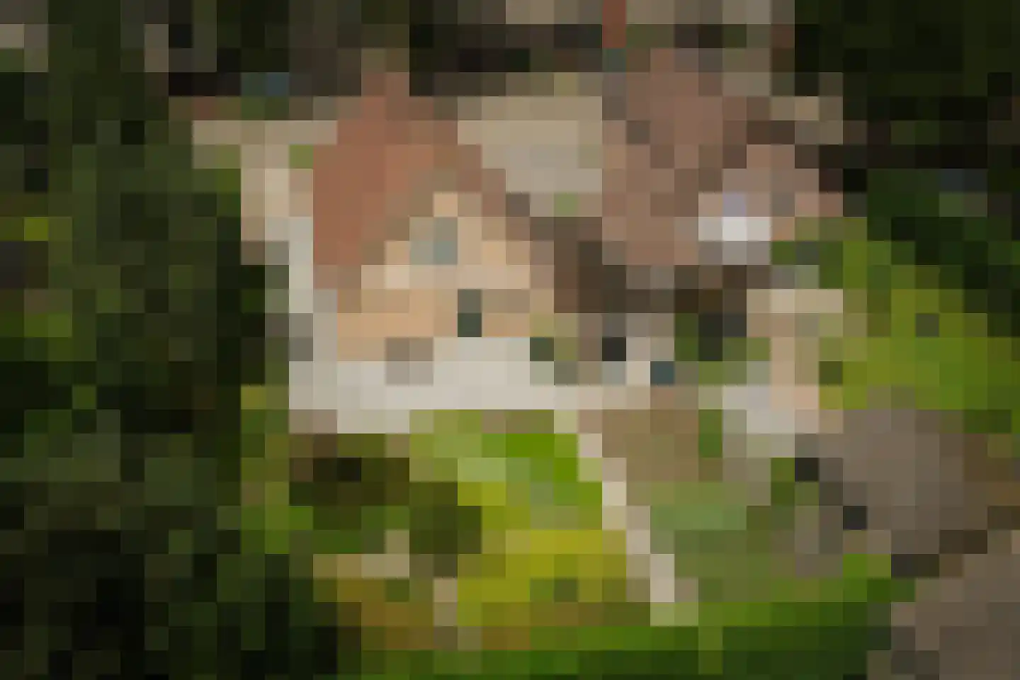 Hezeweg 15 Emst thumbnail 29