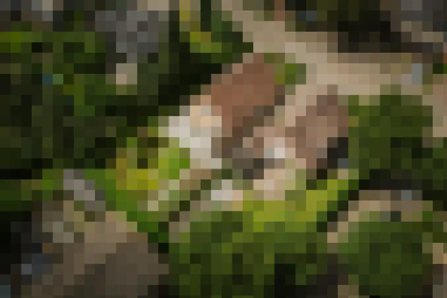 Hezeweg 15 Emst thumbnail 30