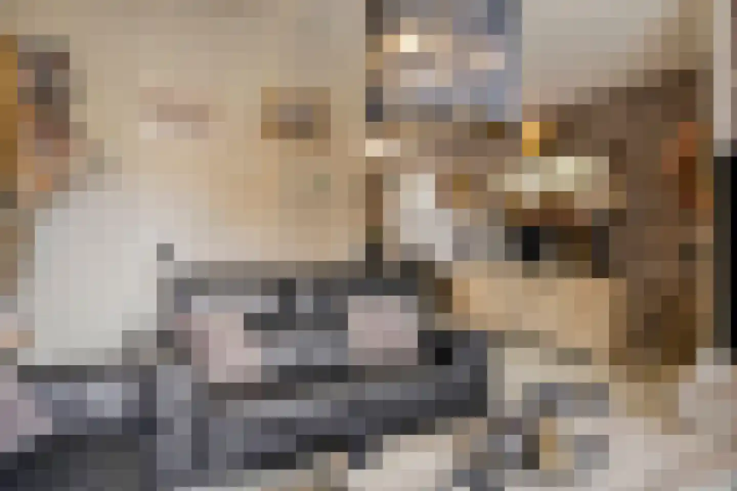 Hezeweg 3 Apeldoorn thumbnail 9