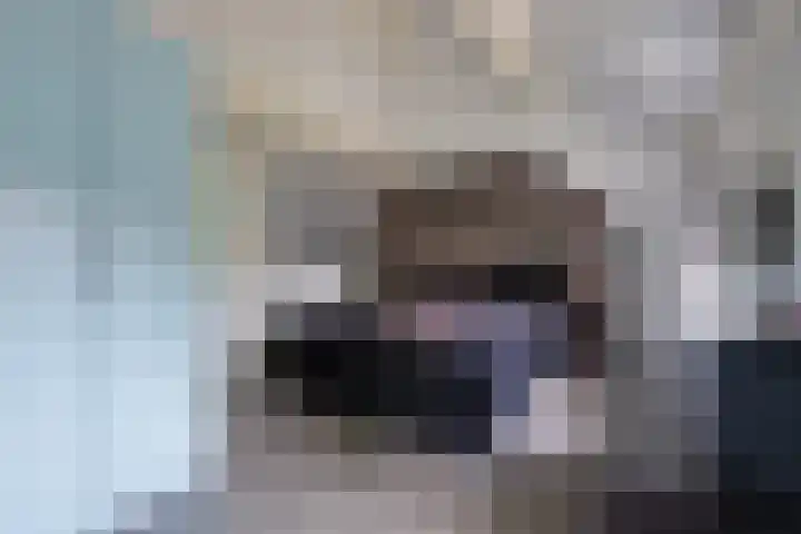 Hezeweg 48 Apeldoorn thumbnail 17