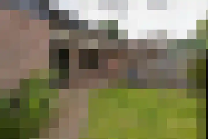 Hezeweg 48 Apeldoorn thumbnail 26