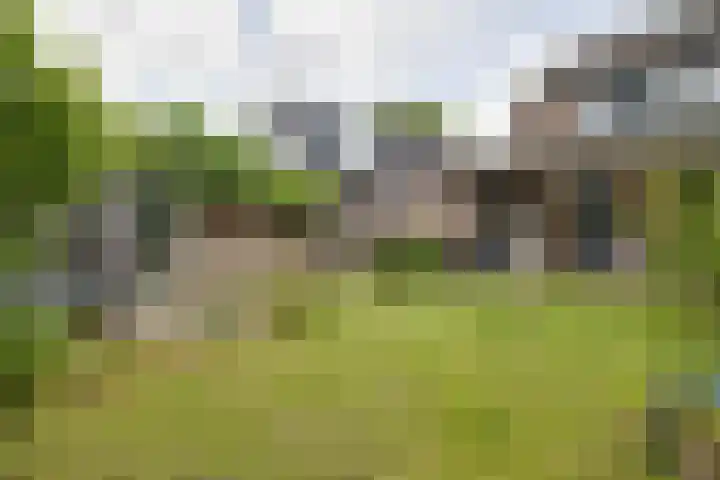 Hezeweg 48 Apeldoorn thumbnail 28