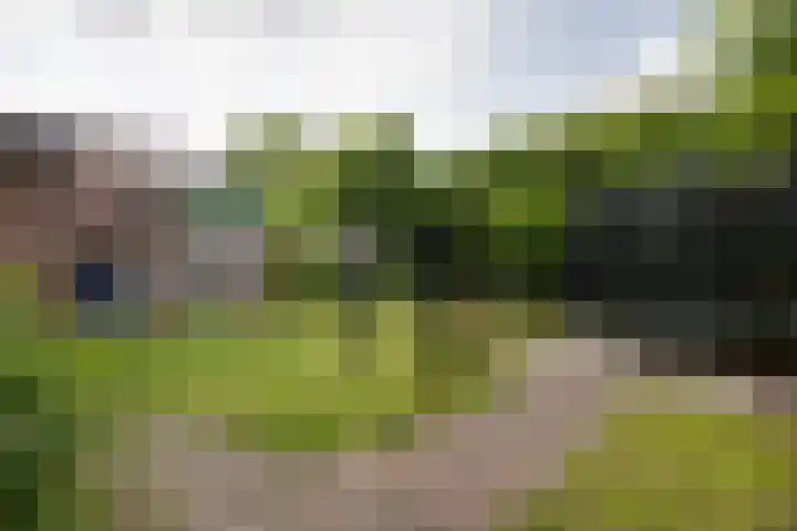 Hezeweg 48 Apeldoorn thumbnail 29