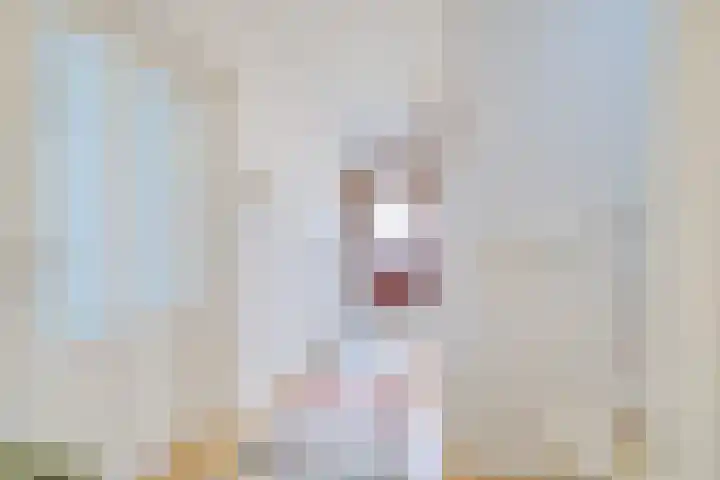 Hezeweg 90 Apeldoorn thumbnail 13