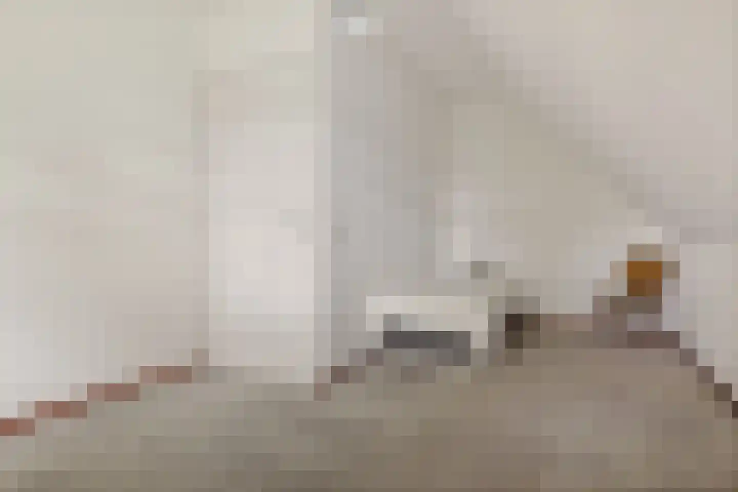 Hibiscusstraat 2 Wagenborgen thumbnail 47