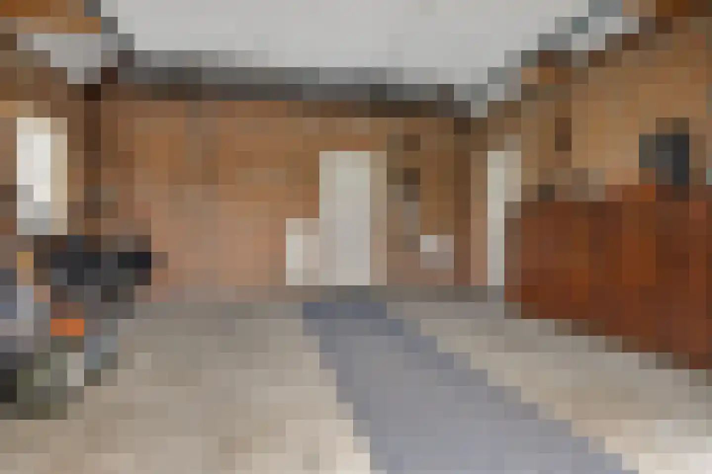 Hibiscusstraat 2 Wagenborgen thumbnail 51