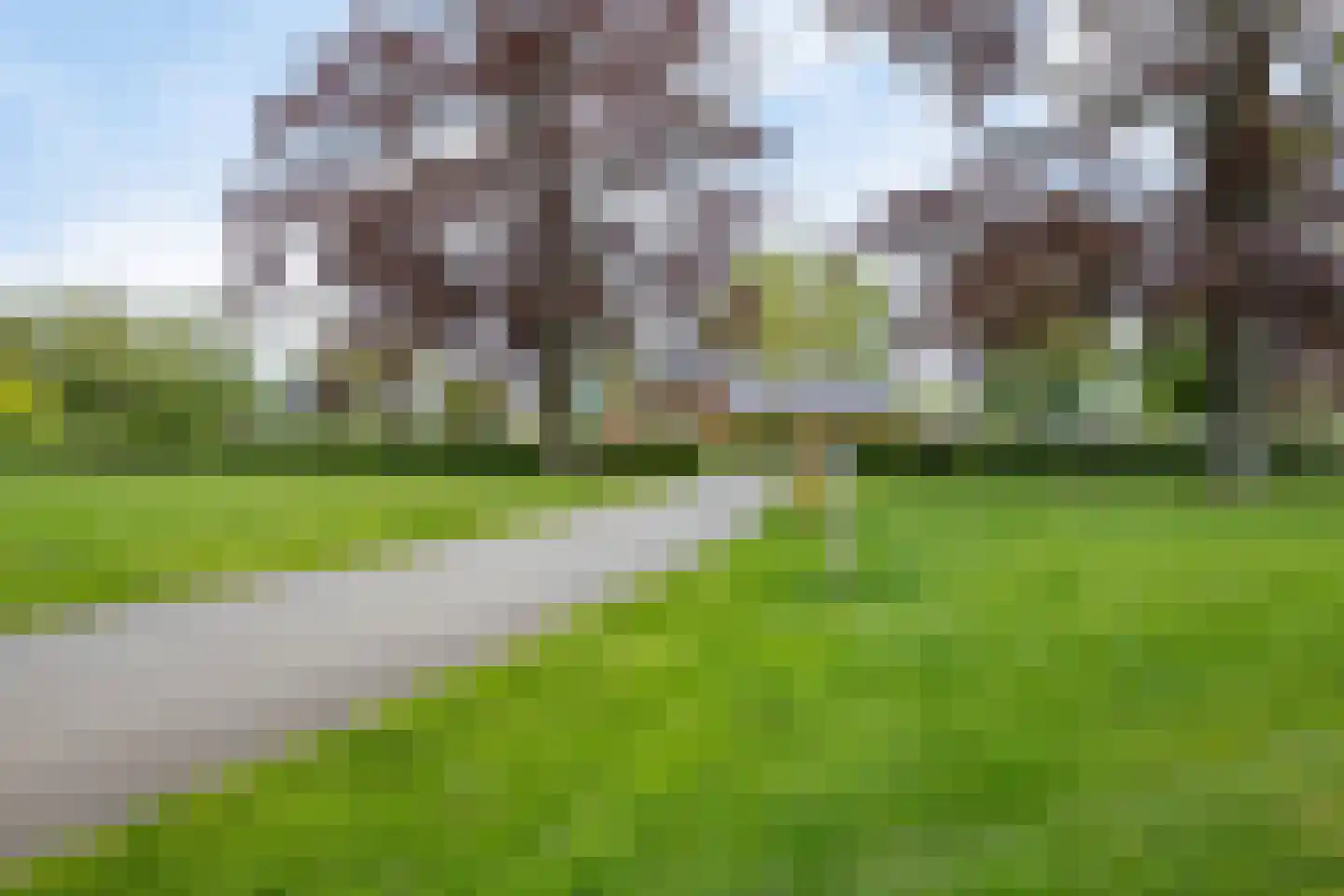 Hibiscusstraat 2 Wagenborgen thumbnail 8