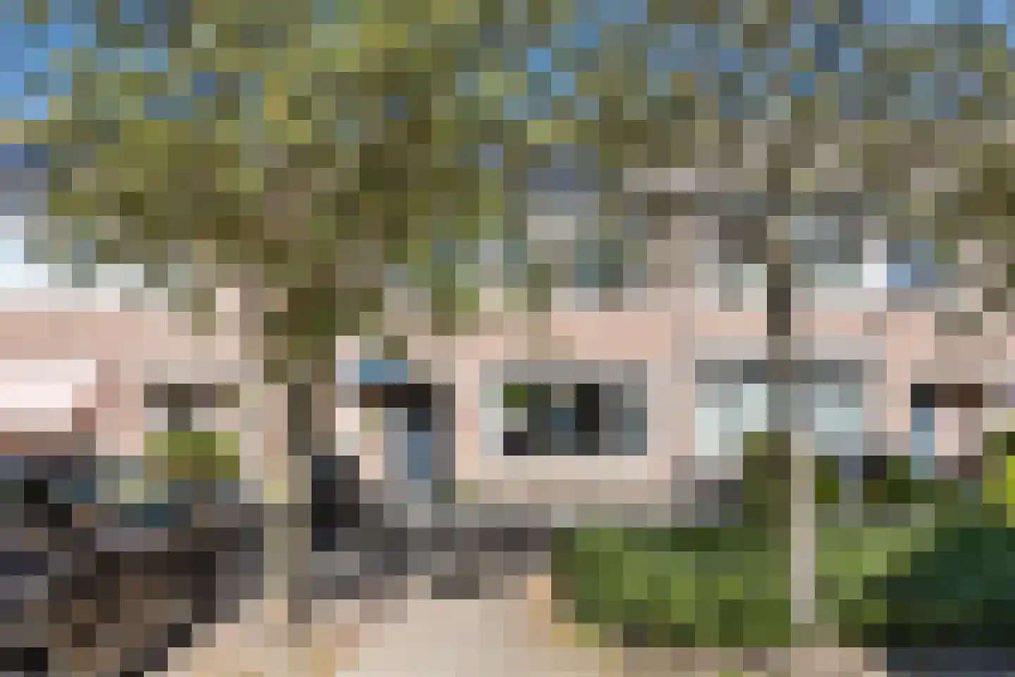 Hibiscusstraat 31 Almere thumbnail 28