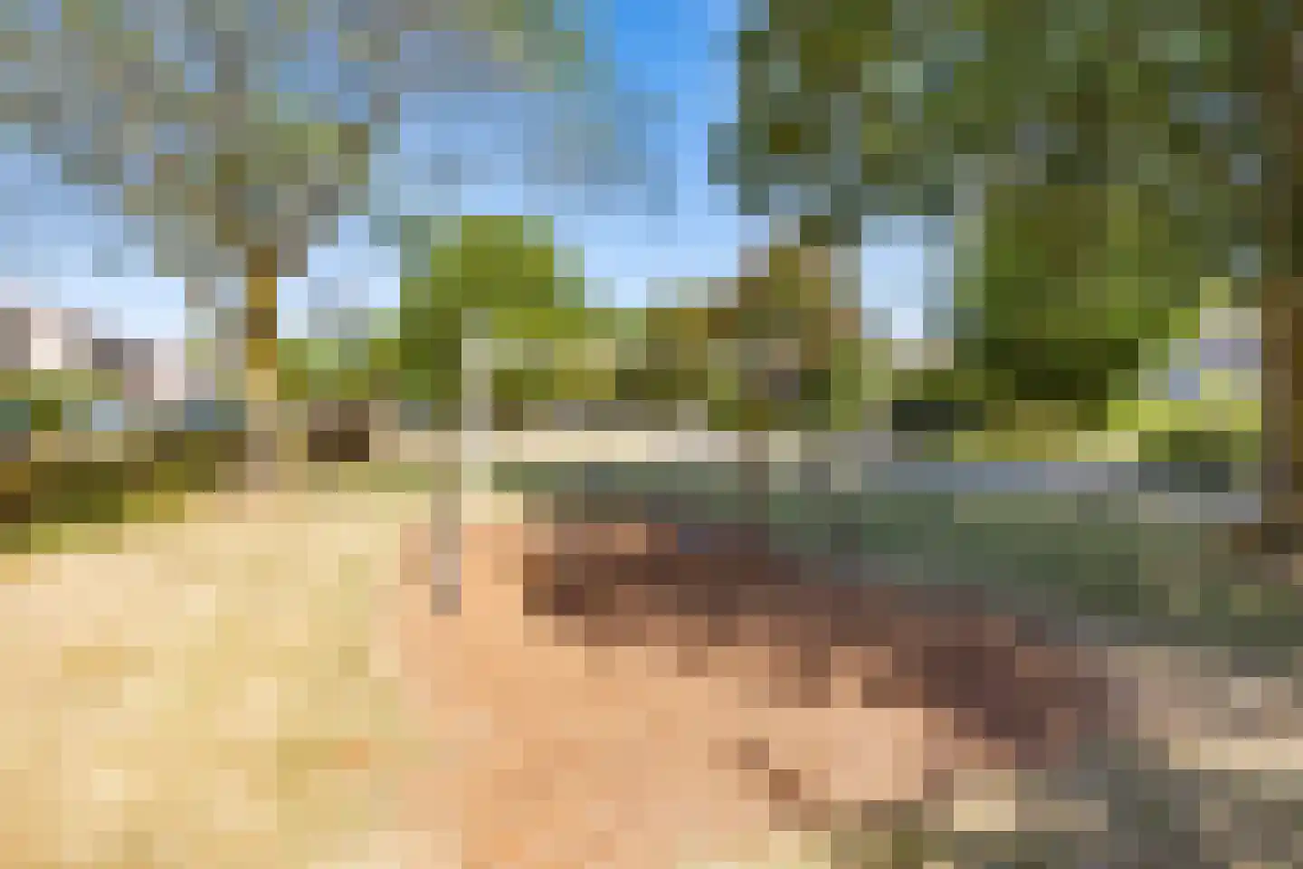 Hibiscusstraat 31 Almere thumbnail 31
