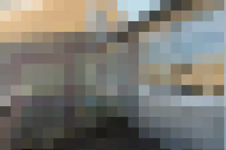 Hibiscusstraat 4 Almere thumbnail 50